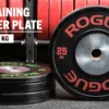 Rogue Fitness Rogue KG Training 2.0 Plates