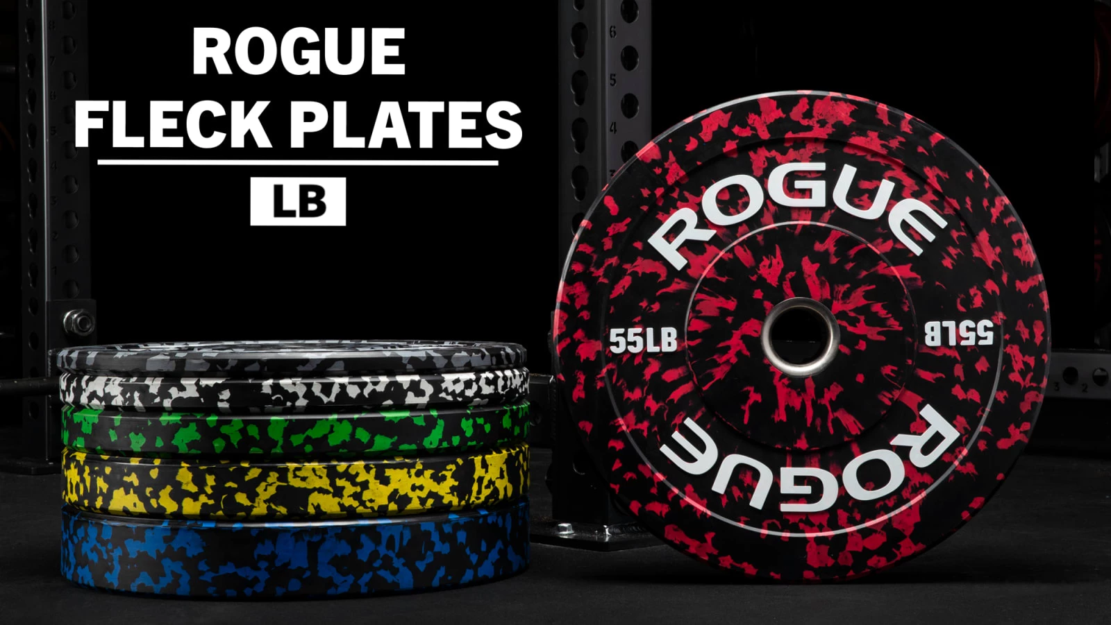 Rogue Fitness Rogue Fleck Plate 1 Rogue Fitness Rogue Fleck Plate