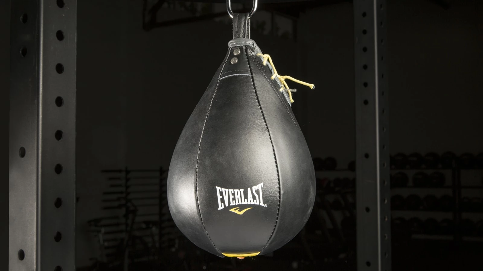 Everlast Standard Leather Speed Bag 1 Everlast Standard Leather Speed Bag