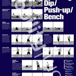 MobilityWOD Positioning Posters -Rogue Fitness Shop XX3539 web 3 menez1